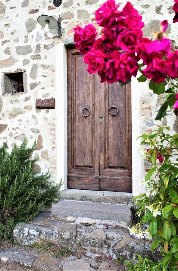 Agriturismo Il Gufo San Marcello Pistoiese Bilik gambar