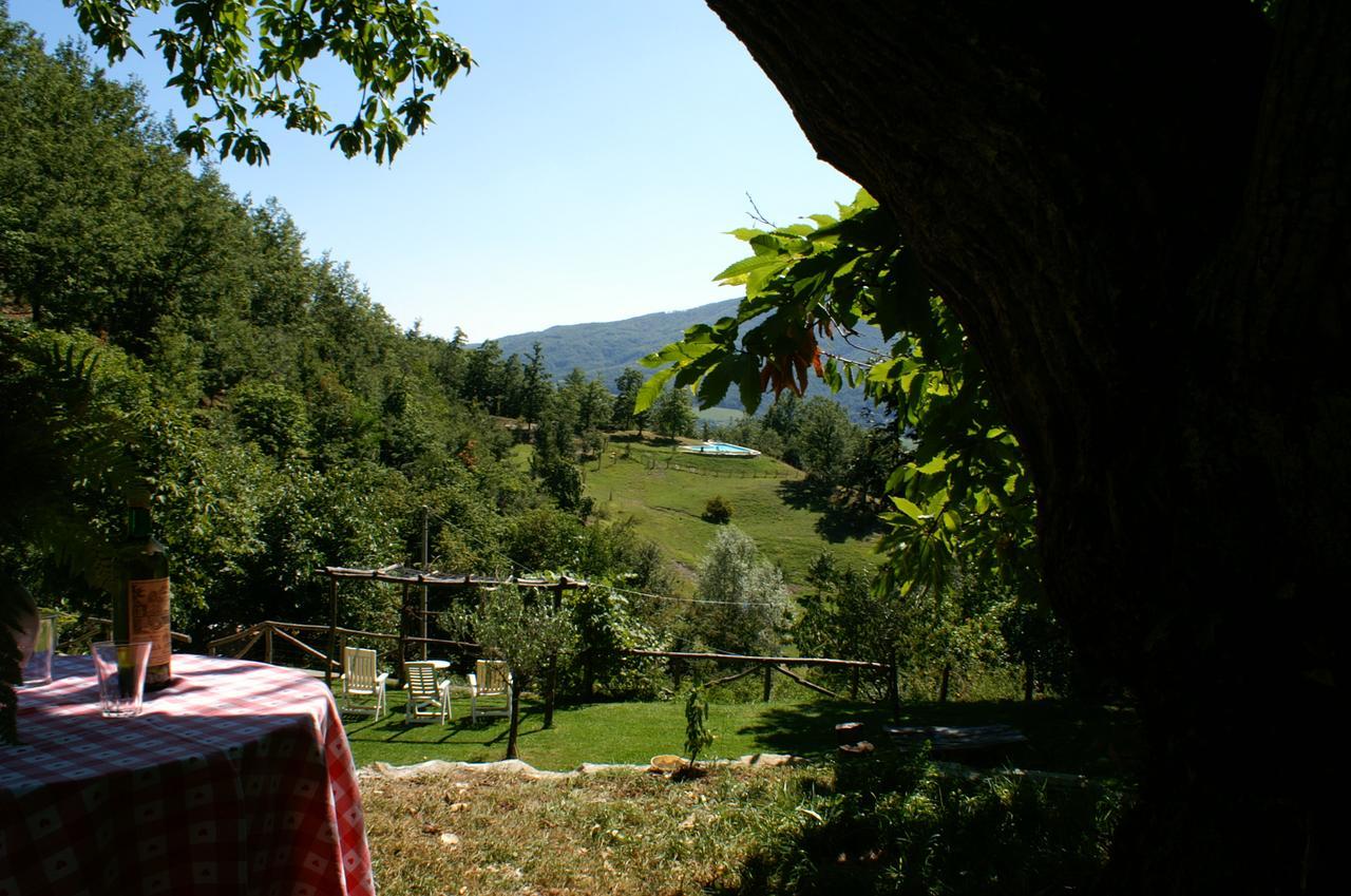 Agriturismo Il Gufo San Marcello Pistoiese Luaran gambar